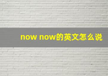 now now的英文怎么说